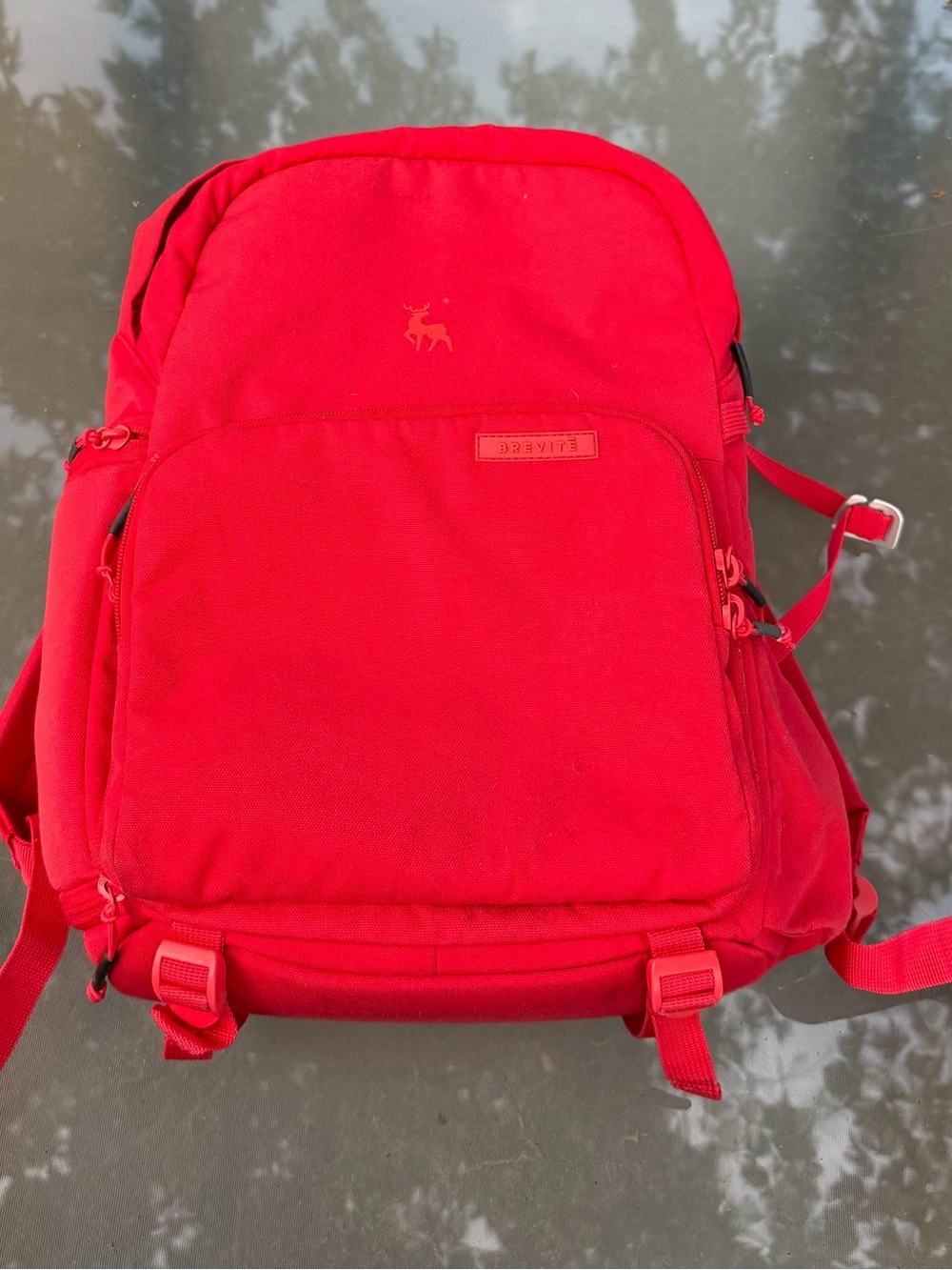 Brevite Red Jumper Camera Backpack